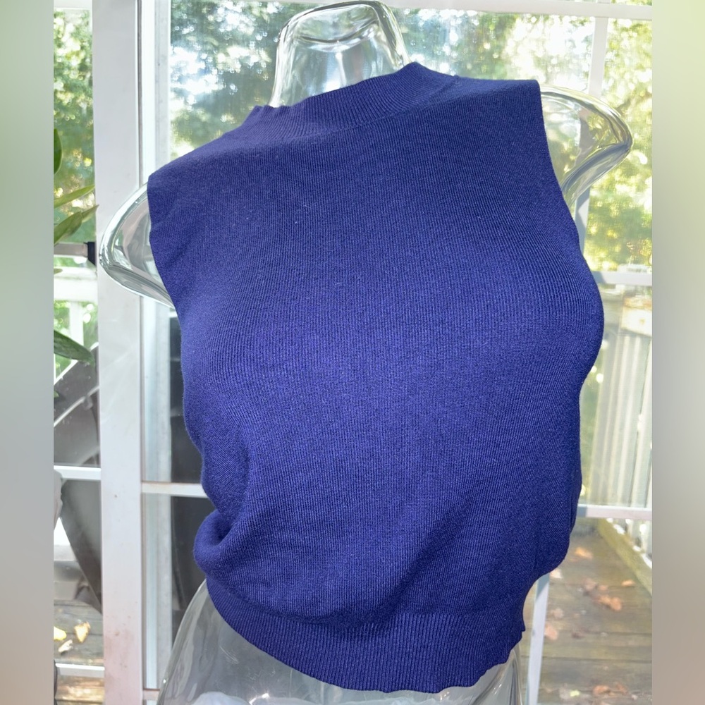 Express Royal Blue Knit Top